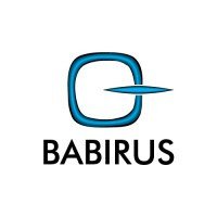 Babirus LLC – Medical Equipment Supplier